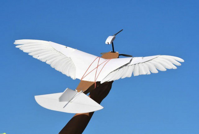 PigeonBot : یک هواپیمای بدون سرنشین که دقیقاً مانند یک پرنده واقعی پرواز می کند